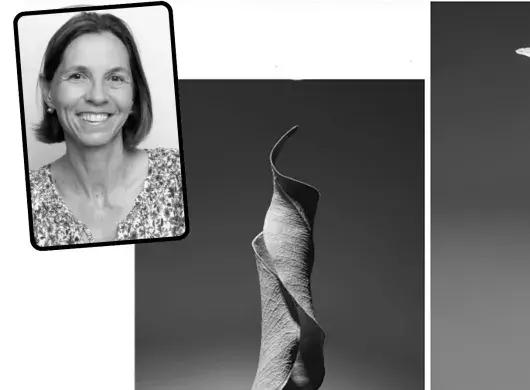 Profesora del Tec Campus Qro gana premio internacional de fotografía